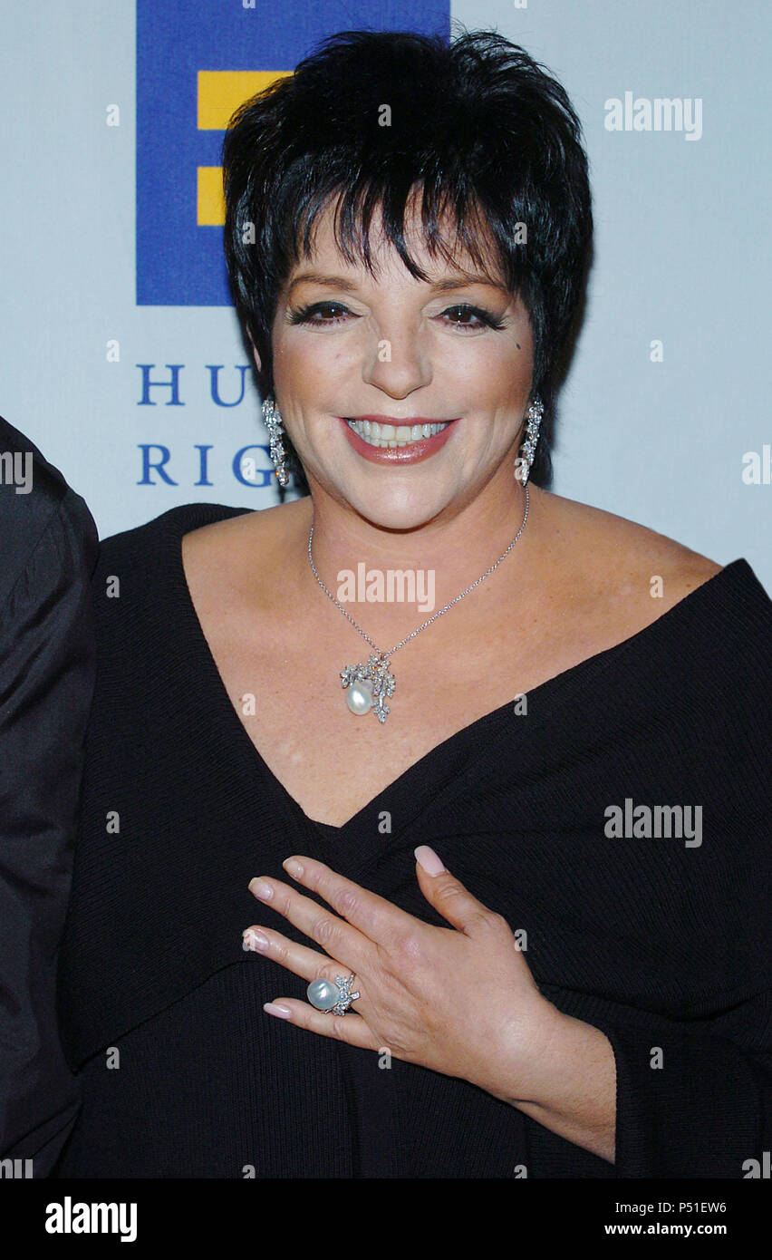 Liza Minnelli arriving at the Humanitarian Awards at the Human Right ...