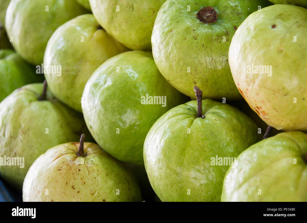 Fresh ripe guava Stock Photo - Alamy