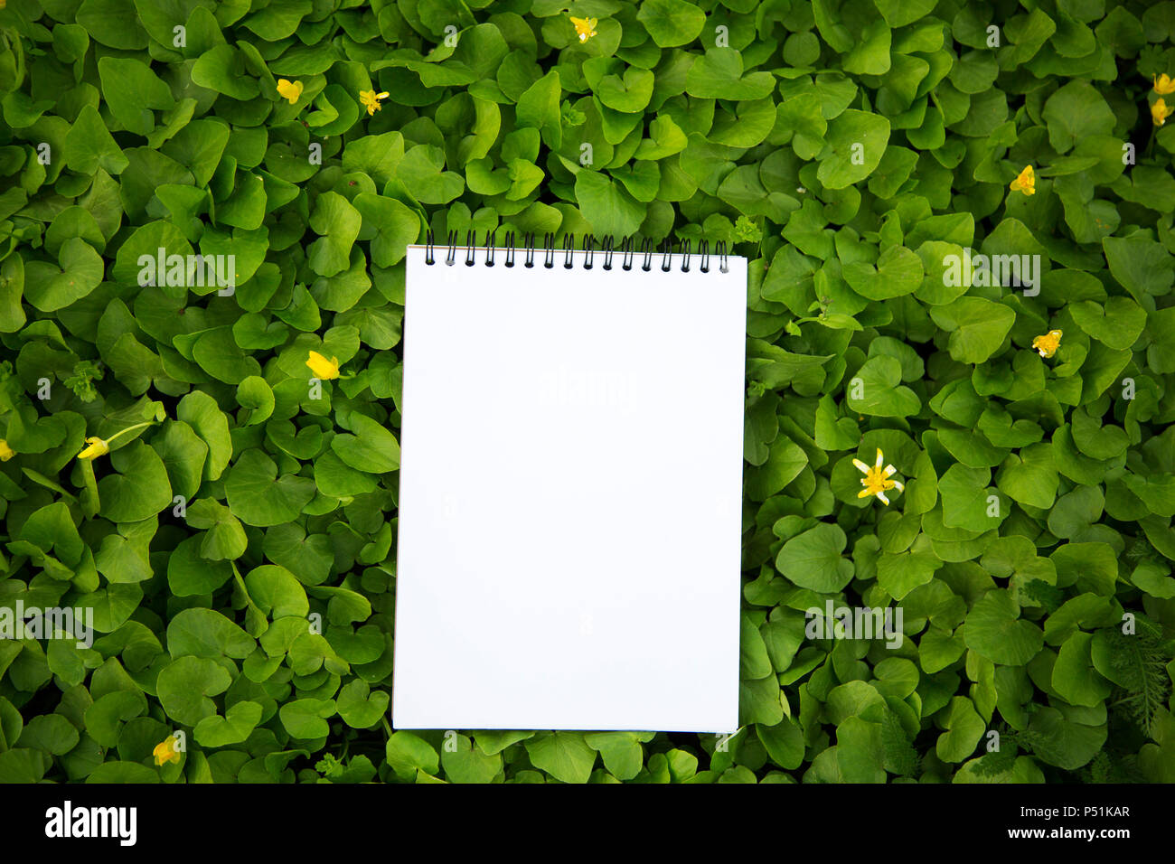 The notebook lies in the greenery. Closeup. Top view Stock Photo - Alamy