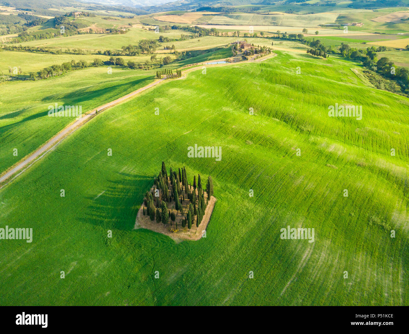 Beautiful Landscape Of Tuscany In Italy Group Of Italian Cypresses Near San Quirico D Orcia Aerial View Val D Orcia Tuscany Italy Stock Photo Alamy Beautiful Landscape Of Tuscany In Italy Group Of Italian Cypresses Near San Quirico D Orcia Aerial View Val D Orcia Tuscany Italy Stock Photo Alamy