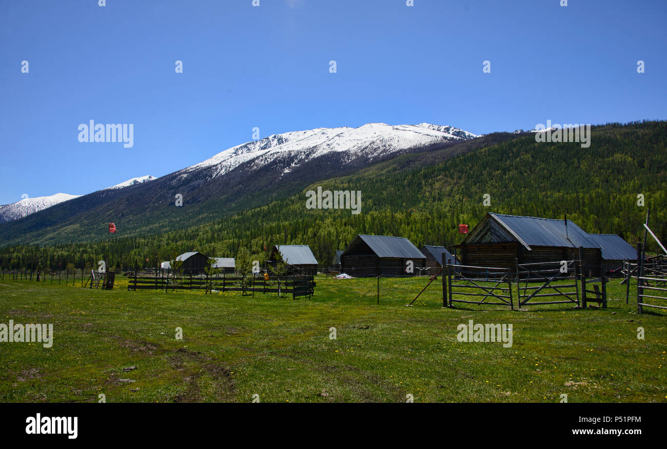 Tuvan village, Kanas Lake National Park, Xinjiang, China Stock Photo