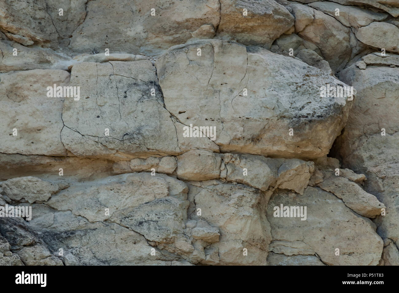 Background. The texture of the rock is made of light limestone, covered ...