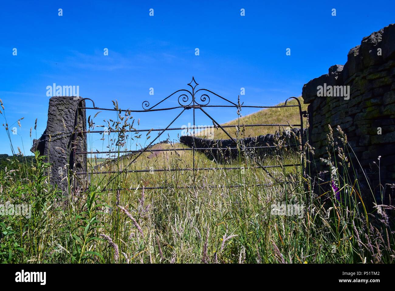 Old field gate Stock Photo