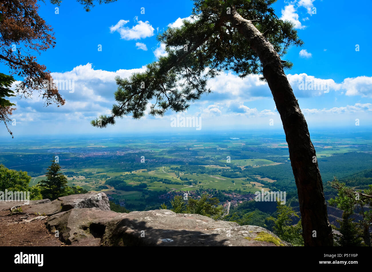 On the Mont Saint Odile in the Vosges mountains in France, the old pagan wall Stock Photo