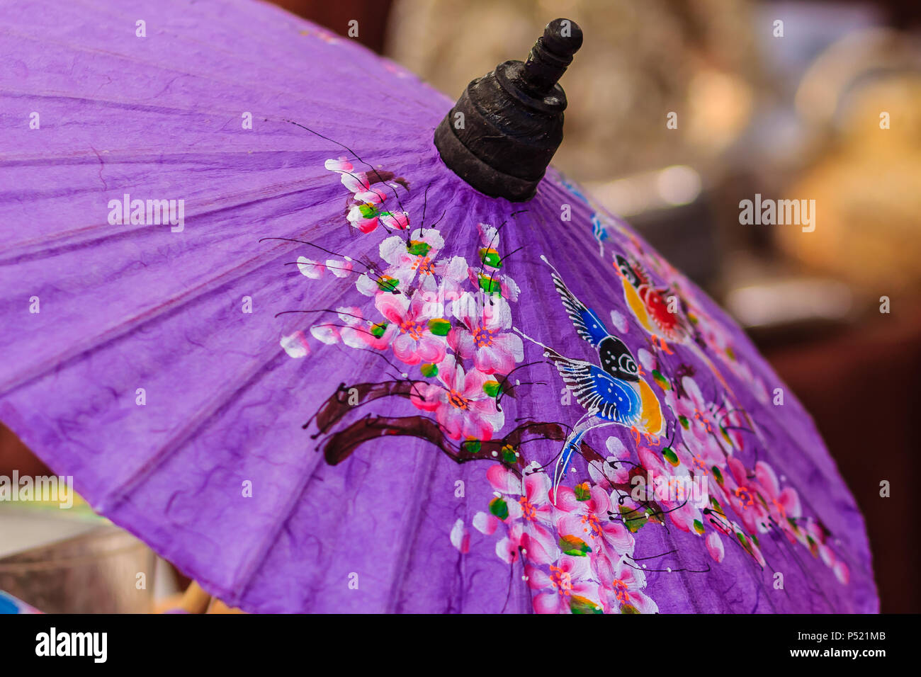 purple umbrellas for sale