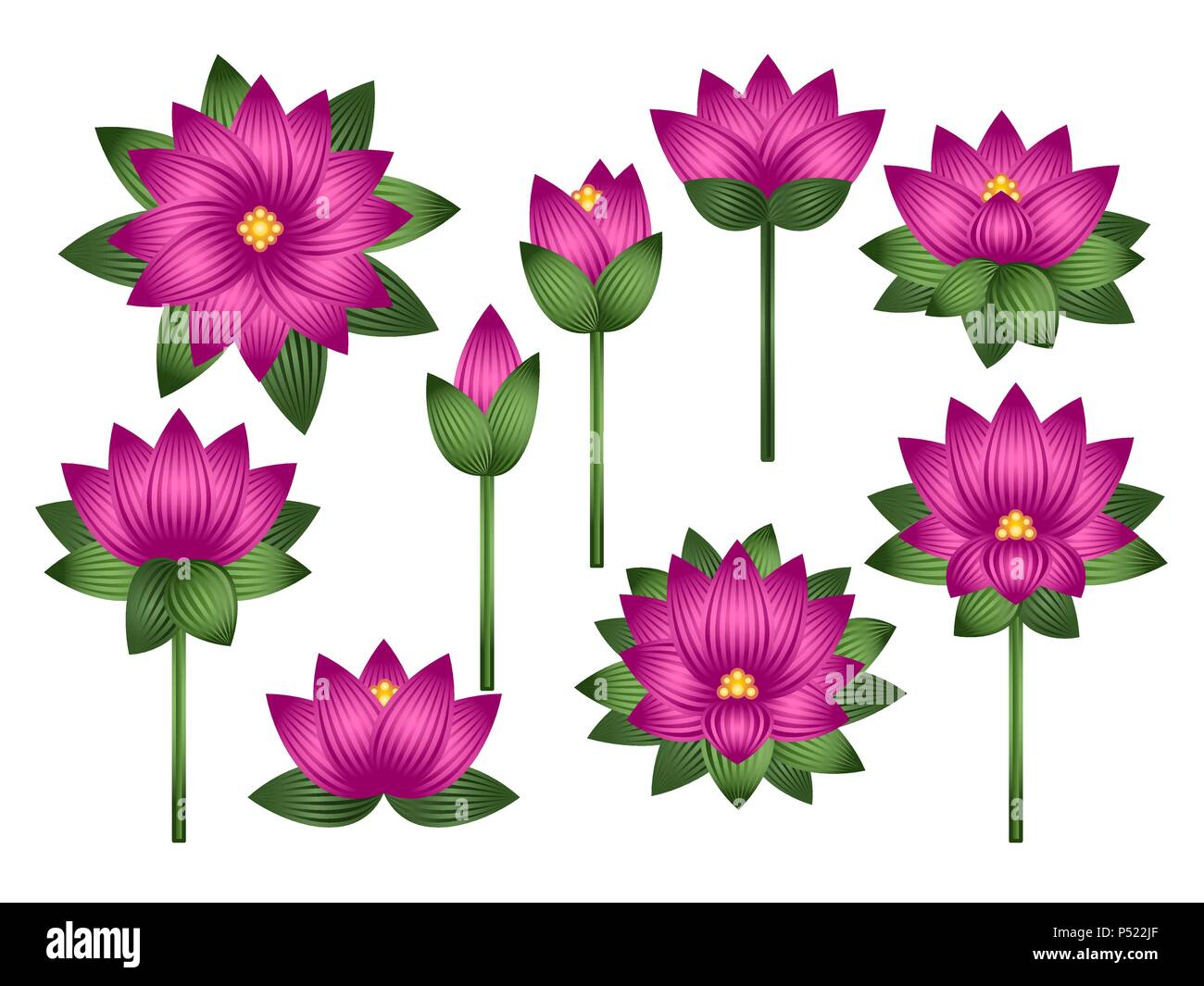 Set of lotus flowers isolated on white background. Vector illustration ...