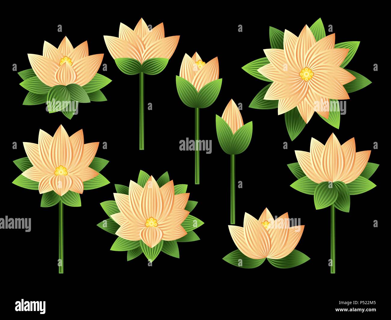Set of lotus flowers Stock Vector Image & Art Alamy