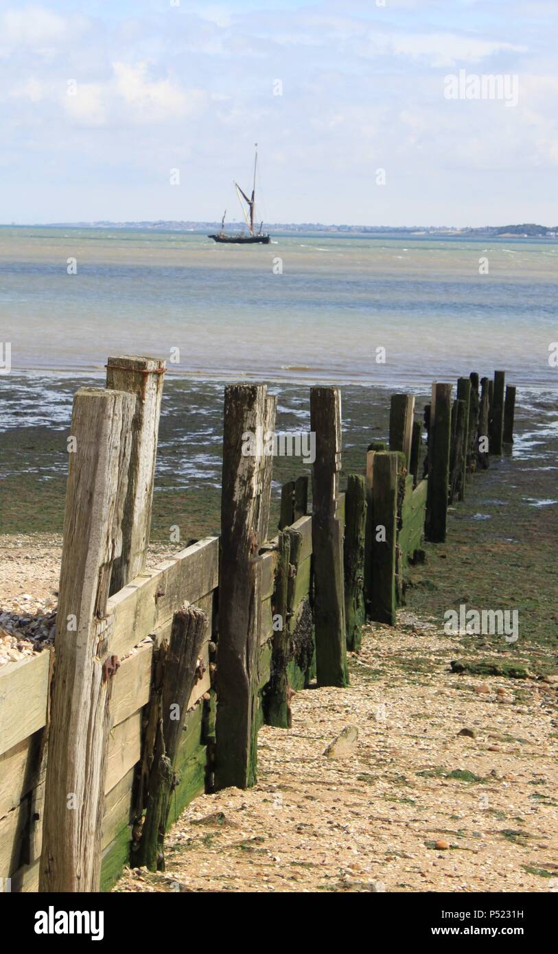 Old weathered groynes protecting against coastal erosion on Shellness beach, Isle of Sheppey, Kent, England, UK, PETER GRANT Stock Photo