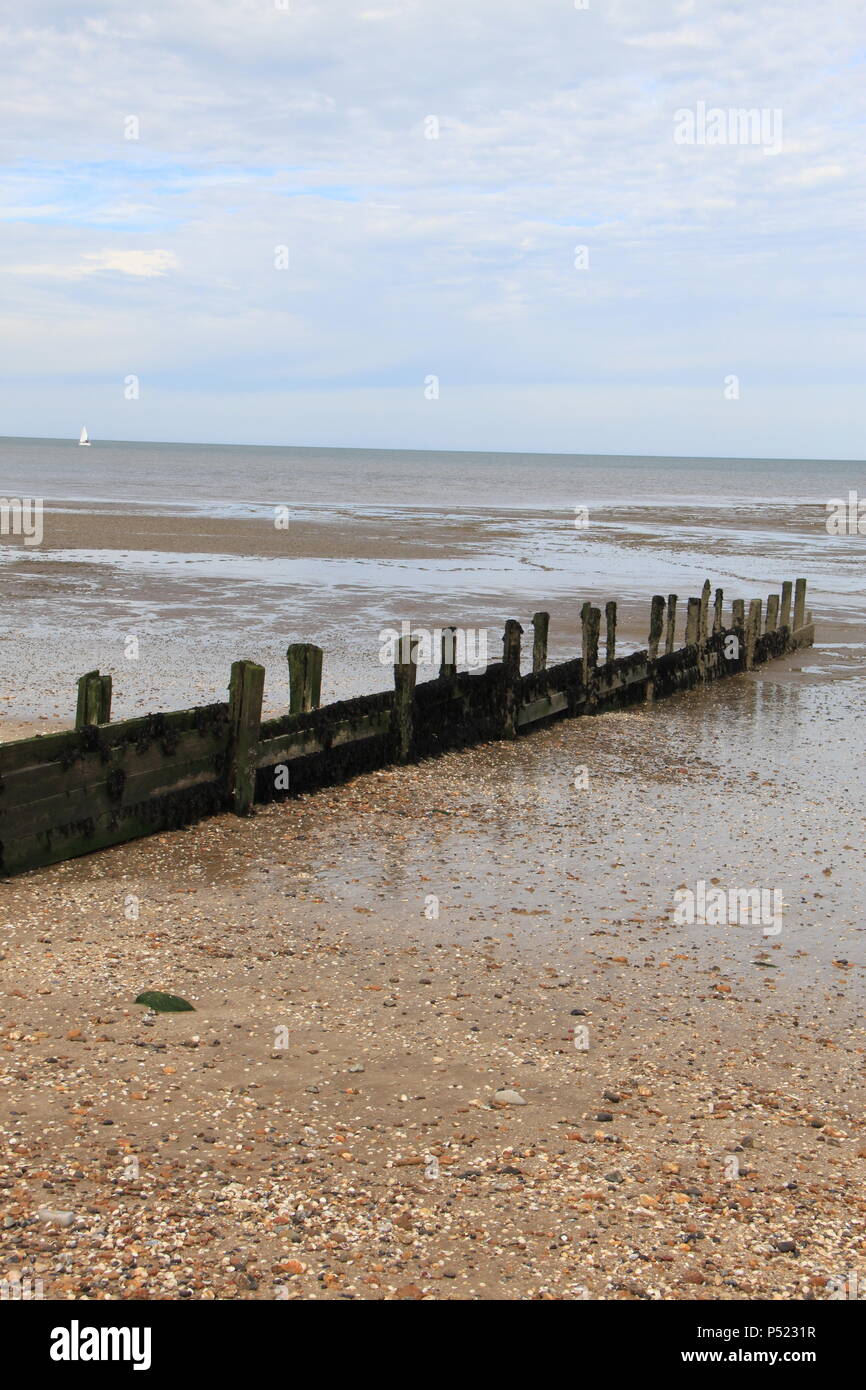 Old weathered groynes protecting against coastal erosion on Shellness beach, Isle of Sheppey, Kent, England, UK, PETER GRANT Stock Photo
