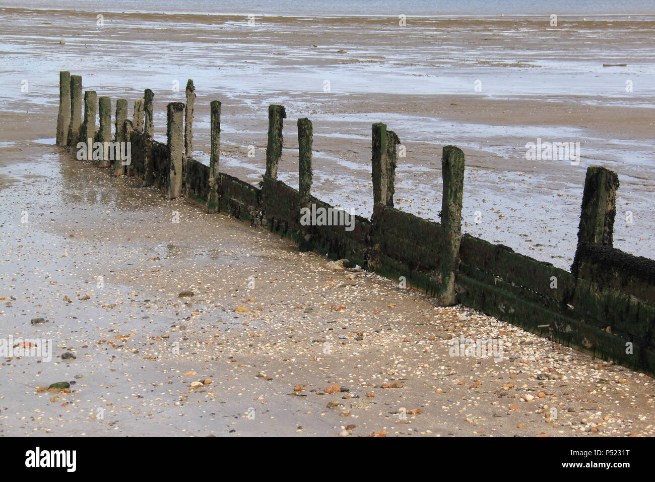 Old weathered groynes protecting against coastal erosion on Shellness beach, Isle of Sheppey, Kent, England, UK, PETER GRANT Stock Photo