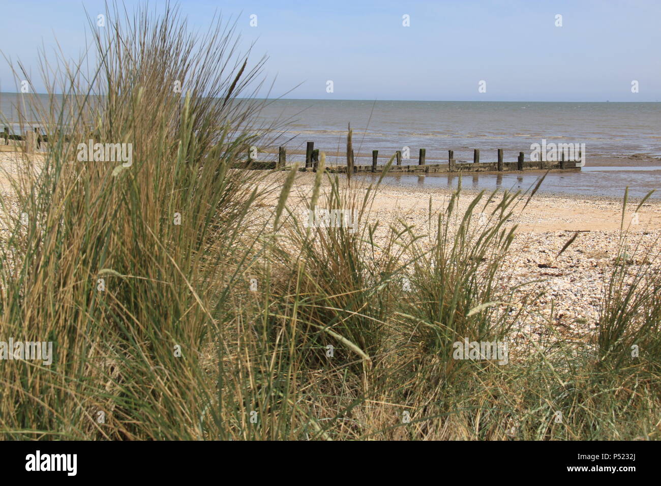 Old weathered groynes protecting against coastal erosion on Shellness beach, Isle of Sheppey, Kent, England, UK, PETER GRANT Stock Photo
