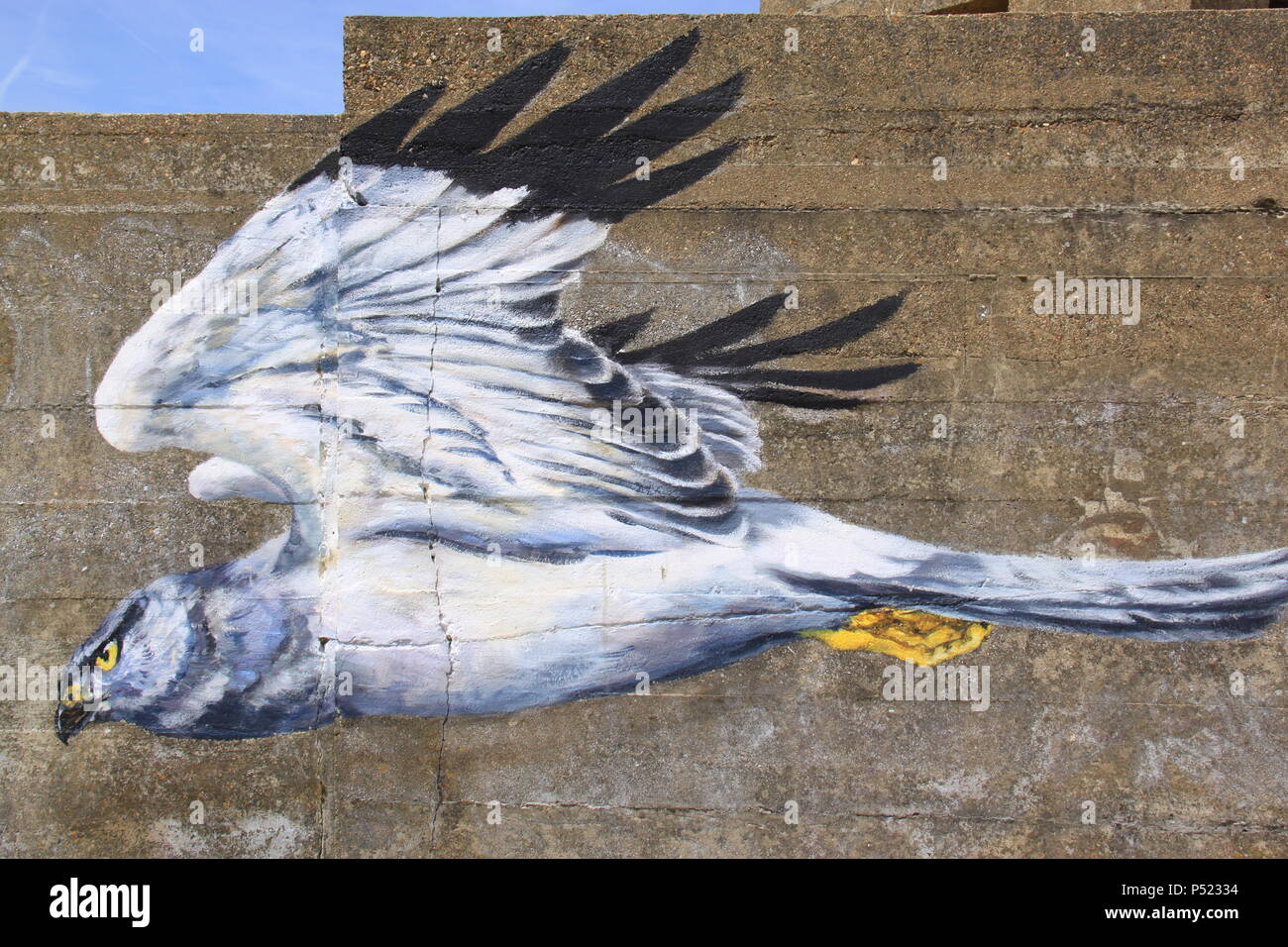 Bird of prey painted on the side of World War II coastal sea defences at Shellness beach, Isle of Sheppey, Kent, England, UK, PETER GRANT Stock Photo