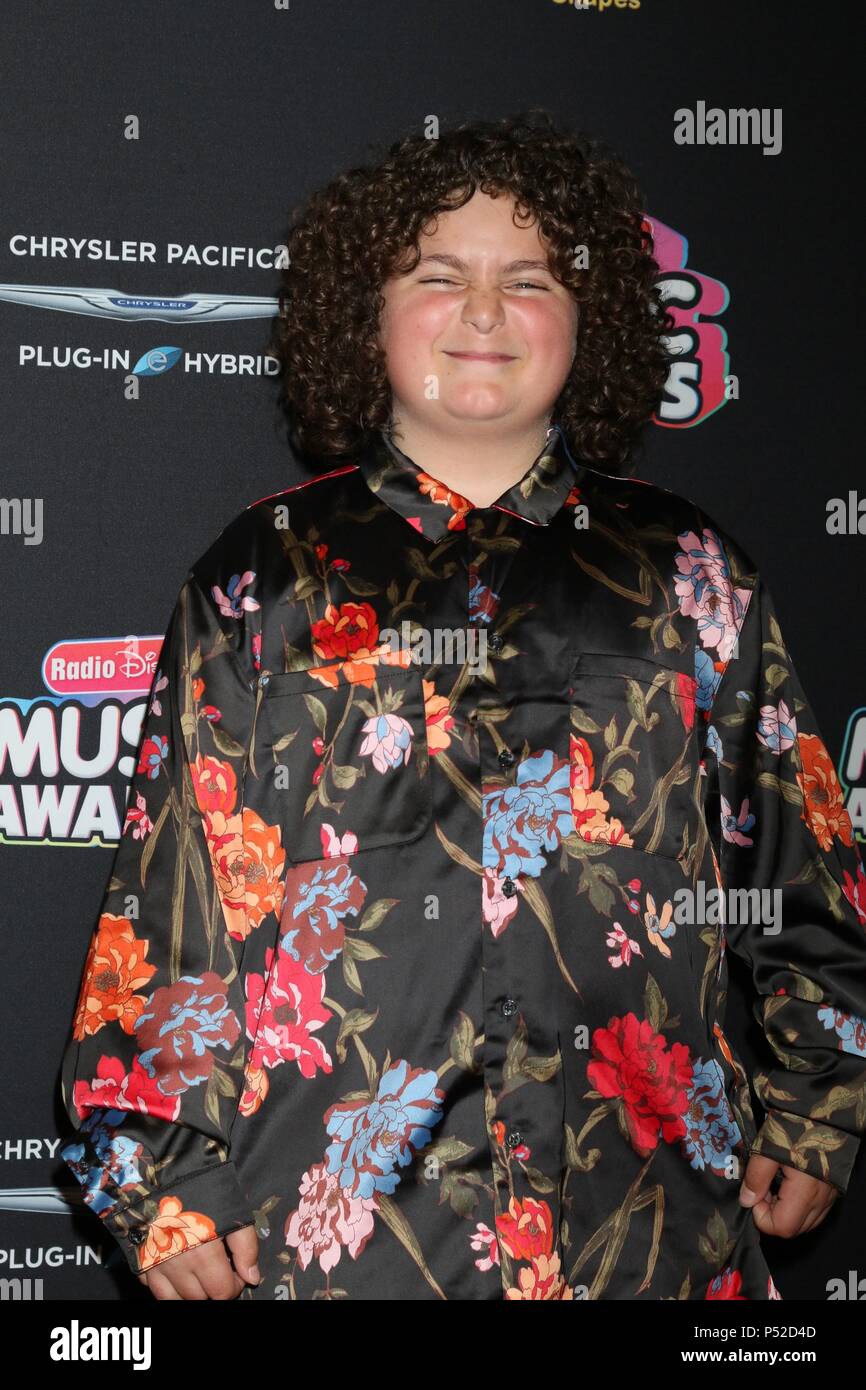 Los Angeles, CA, USA. 22nd June, 2018. Elie Samouhi at arrivals for ...