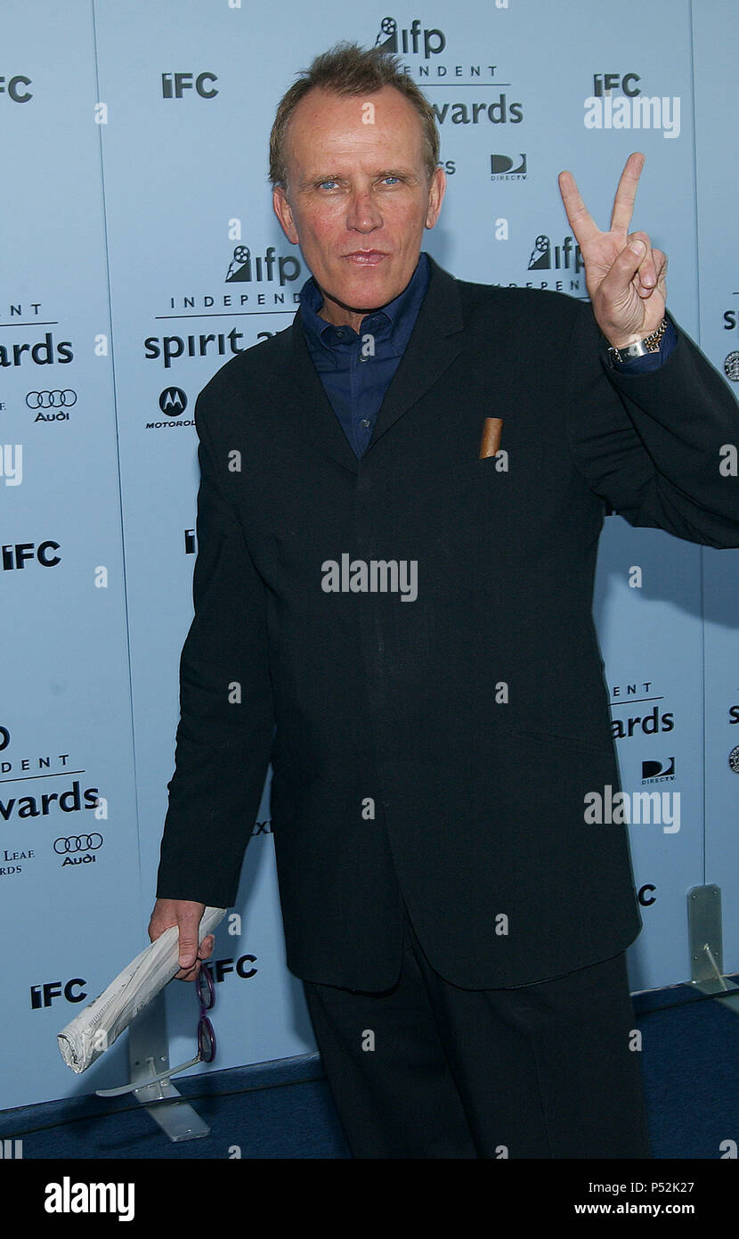 Wellerpeter028 red carpet event hi-res stock photography and images - Alamy