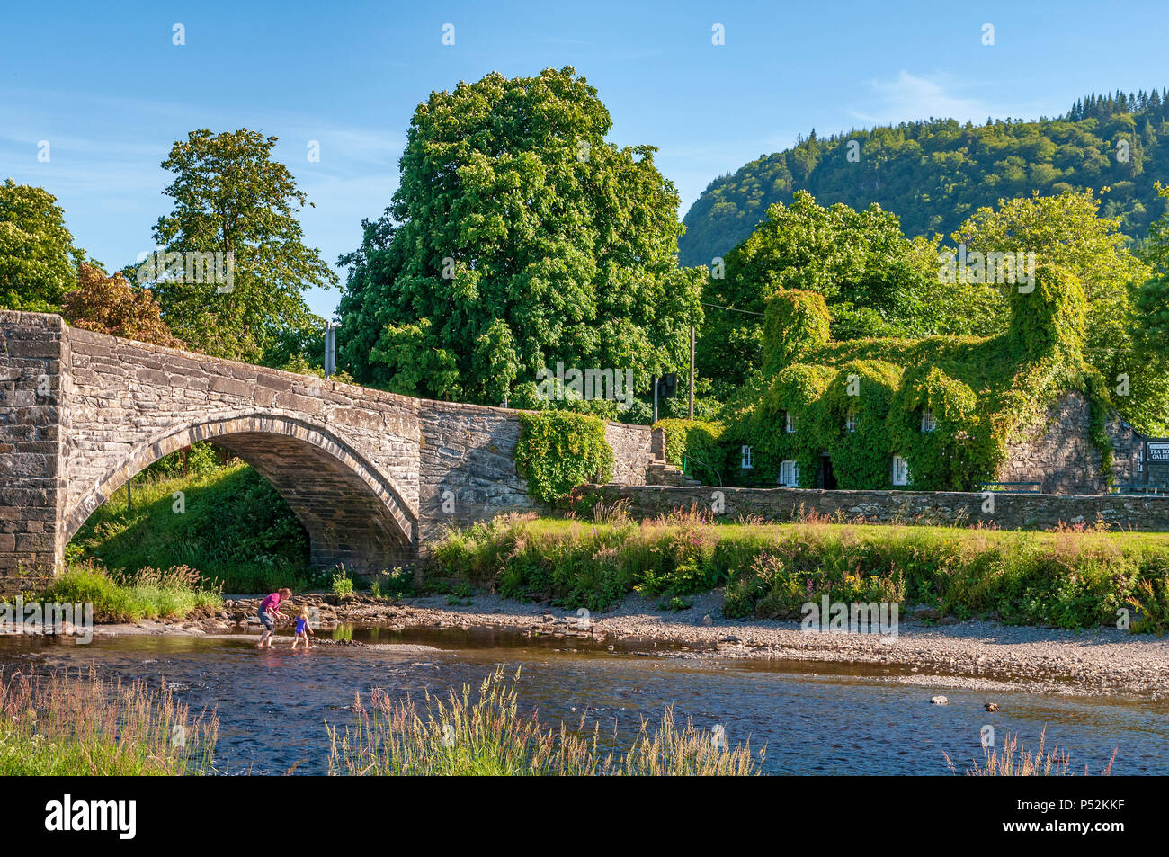 Llanrwst Virginia creeper covered tea room on river Conwy. North Wales. Stock Photo