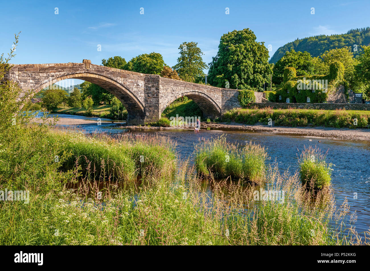 Llanrwst Virginia creeper covered tea room on river Conwy. North Wales. Stock Photo