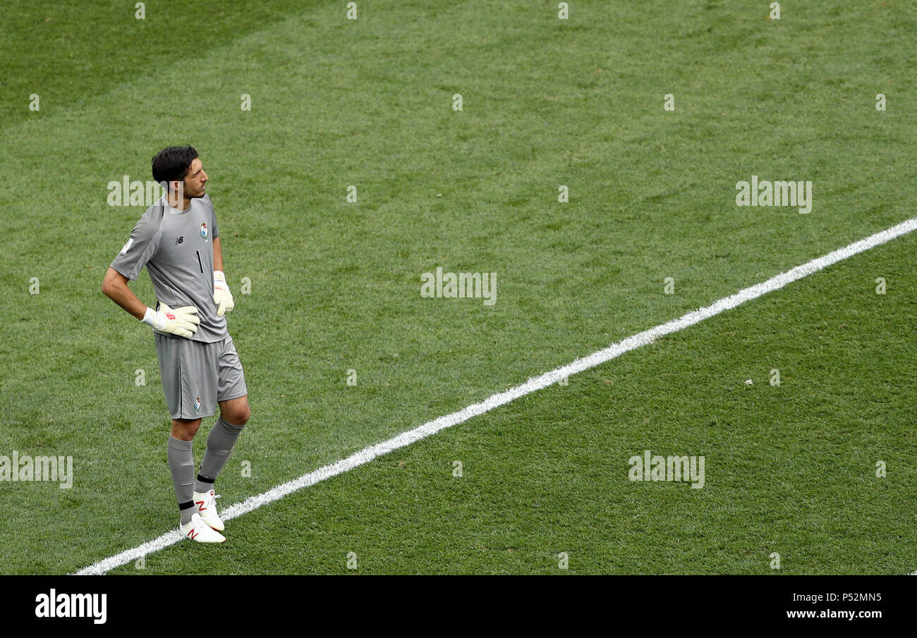 Panama goalkeeper Jaime Penedo shows his dejection during the FIFA World Cup Group G match at the Nizhny Novgorod Stadium. Stock Photo