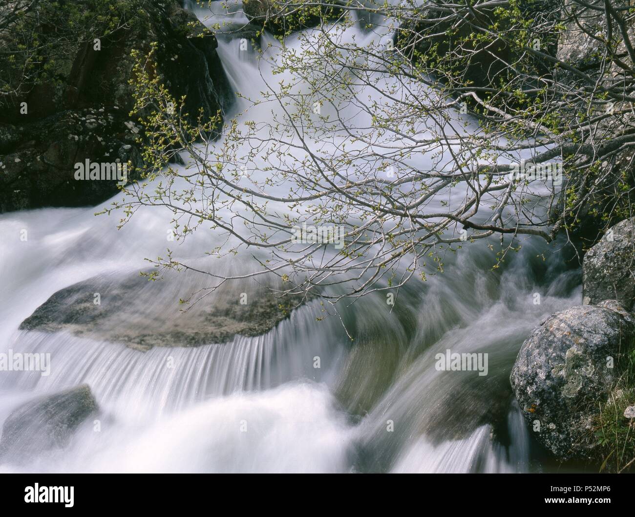 La Llosa River. Cerdanya. Lerida. Spain. Stock Photo