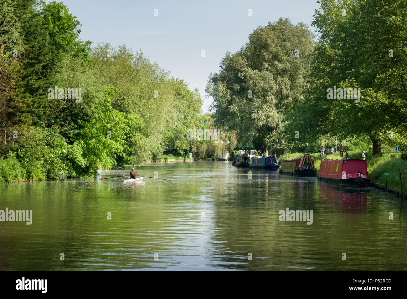Narrow boats moored on the river Cam as people walk alongside it and a rower rows by on a sunny Summer afternoon, Cambridge, UK Stock Photo