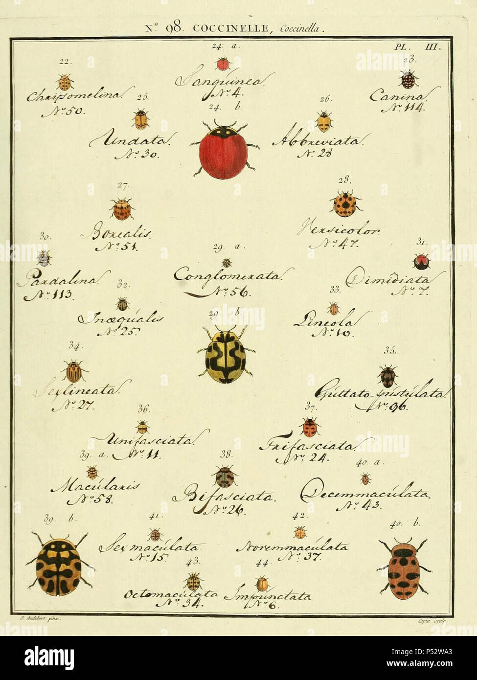 Entomologie, ou, Histoire naturelle des insectes :. Stock Photo