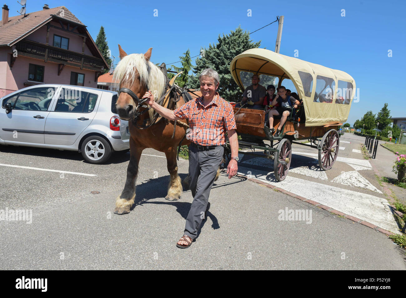 June 30, 2015 - Ungersheim, France: Jean-Claude Mensch, the mayor of  Ungersheim, poses with the municipal horse, "Richelieu", which is used to  transport children to their school. The small Alsacian village of