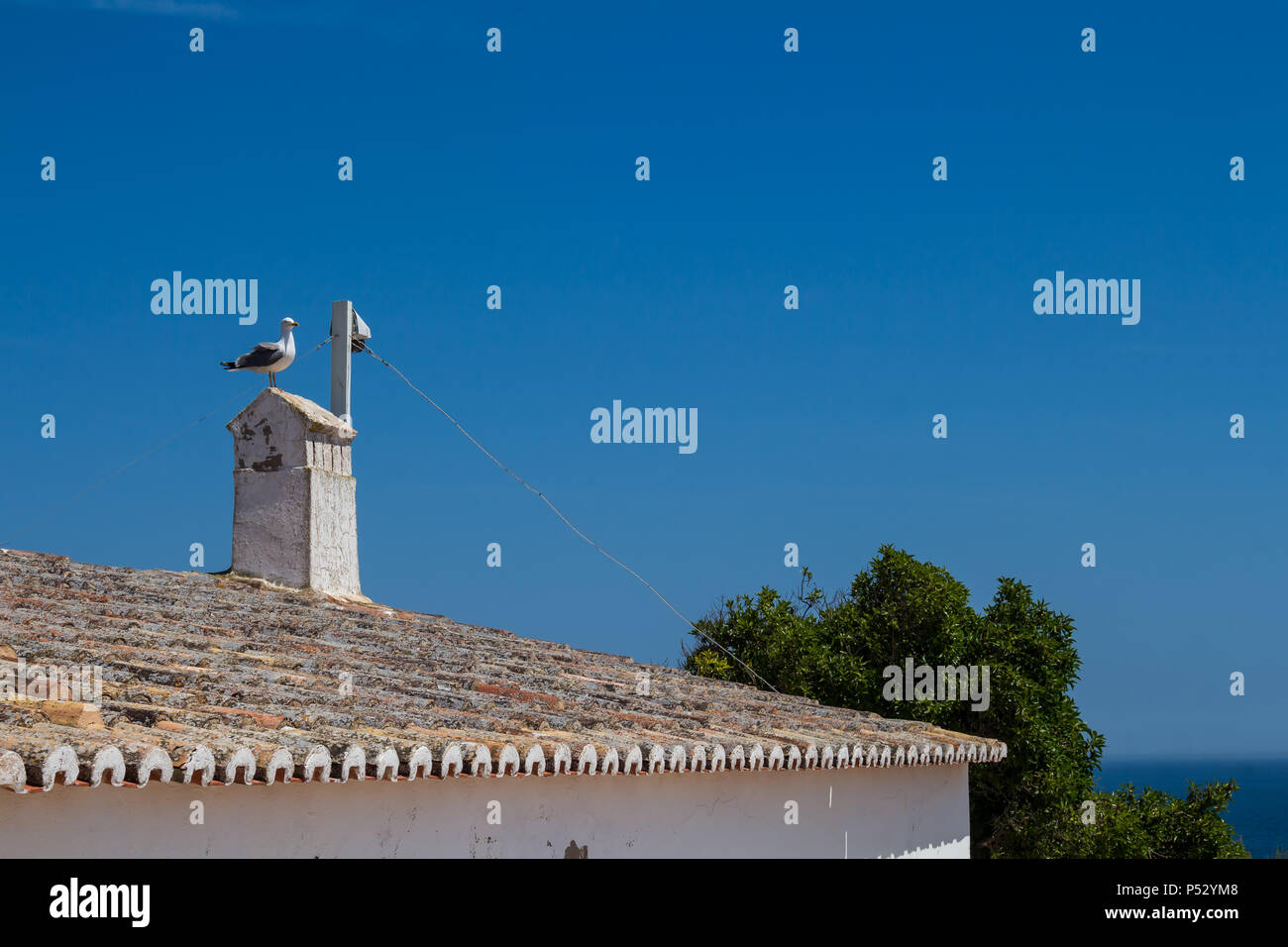 Roof of a building with old tiles and a chimney. Seagull on the chimney. Big tree, horizon of the Atlantic Ocean and a blue sky in the background. Por Stock Photo