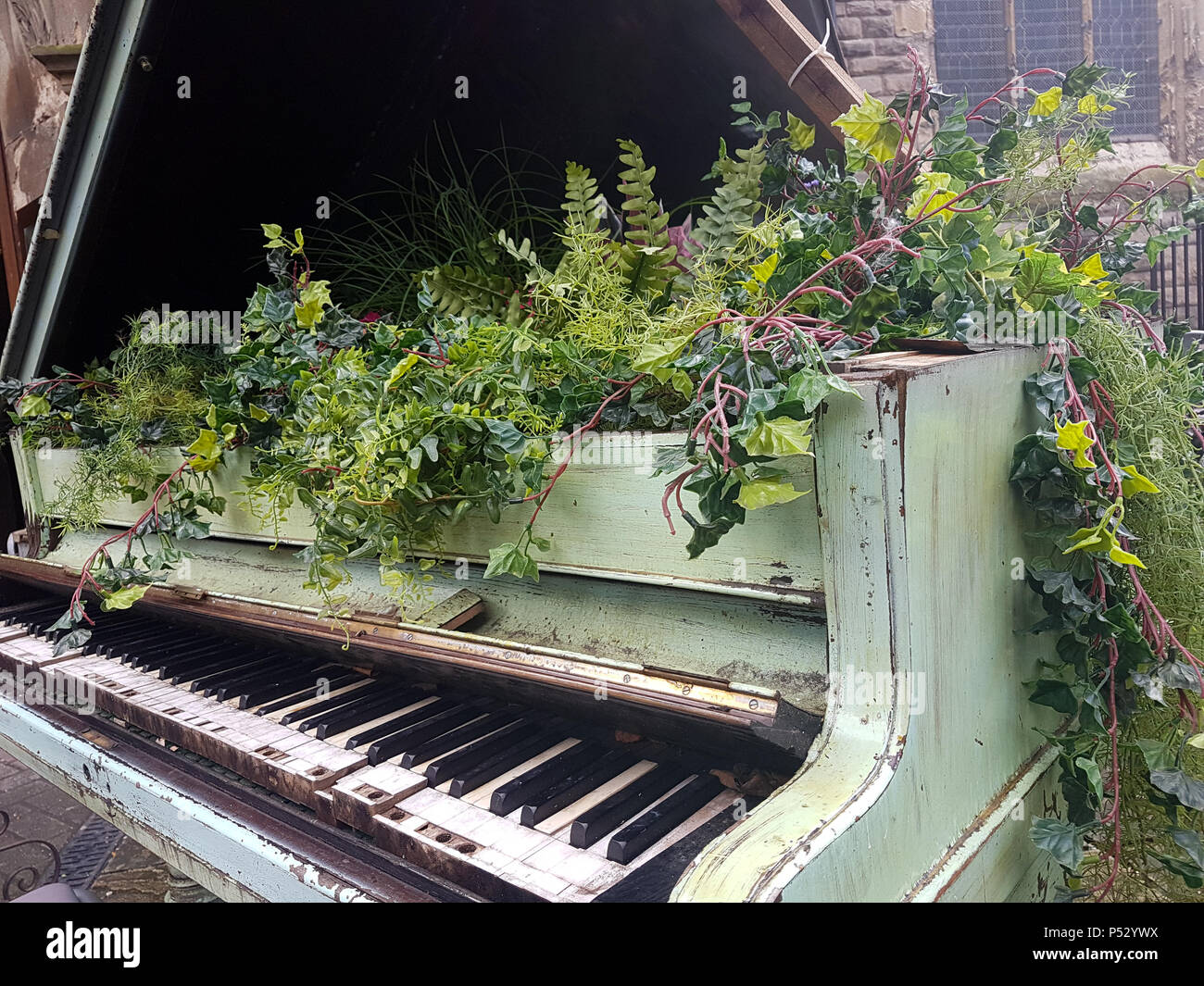 Wild flowers growing out of a green Baby Grand Piano Stock Photo - Alamy