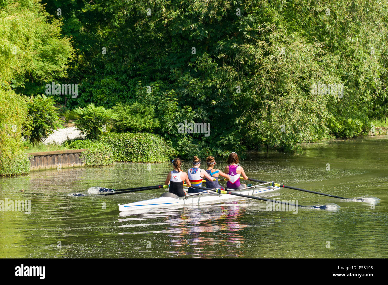 Four female rowers rowing on the river Cam in Cambridge on a sunny Summer day, UK Stock Photo