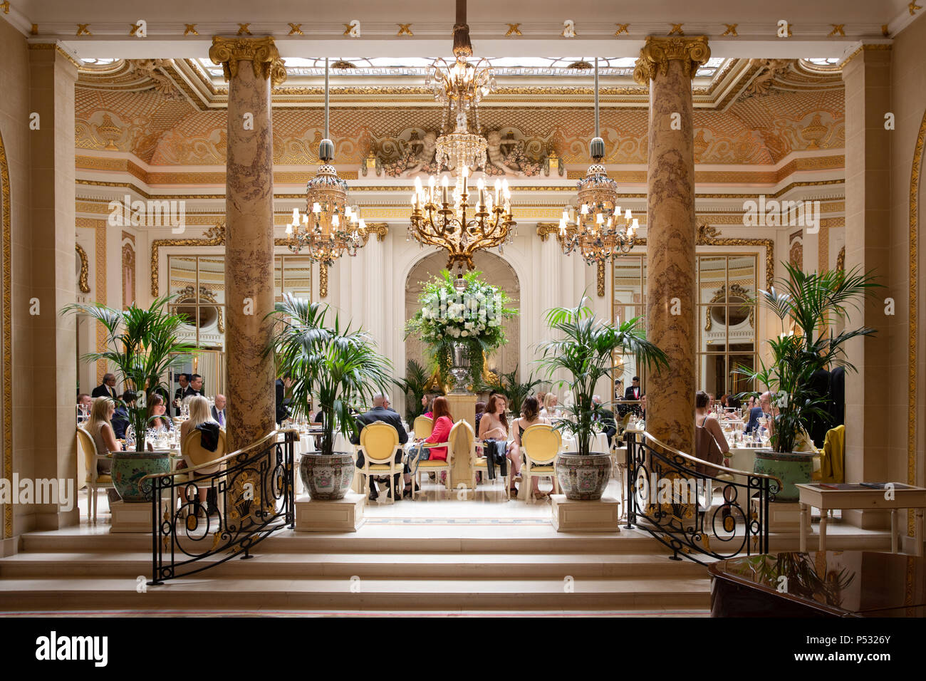 Palm court hi-res stock photography and images - Alamy