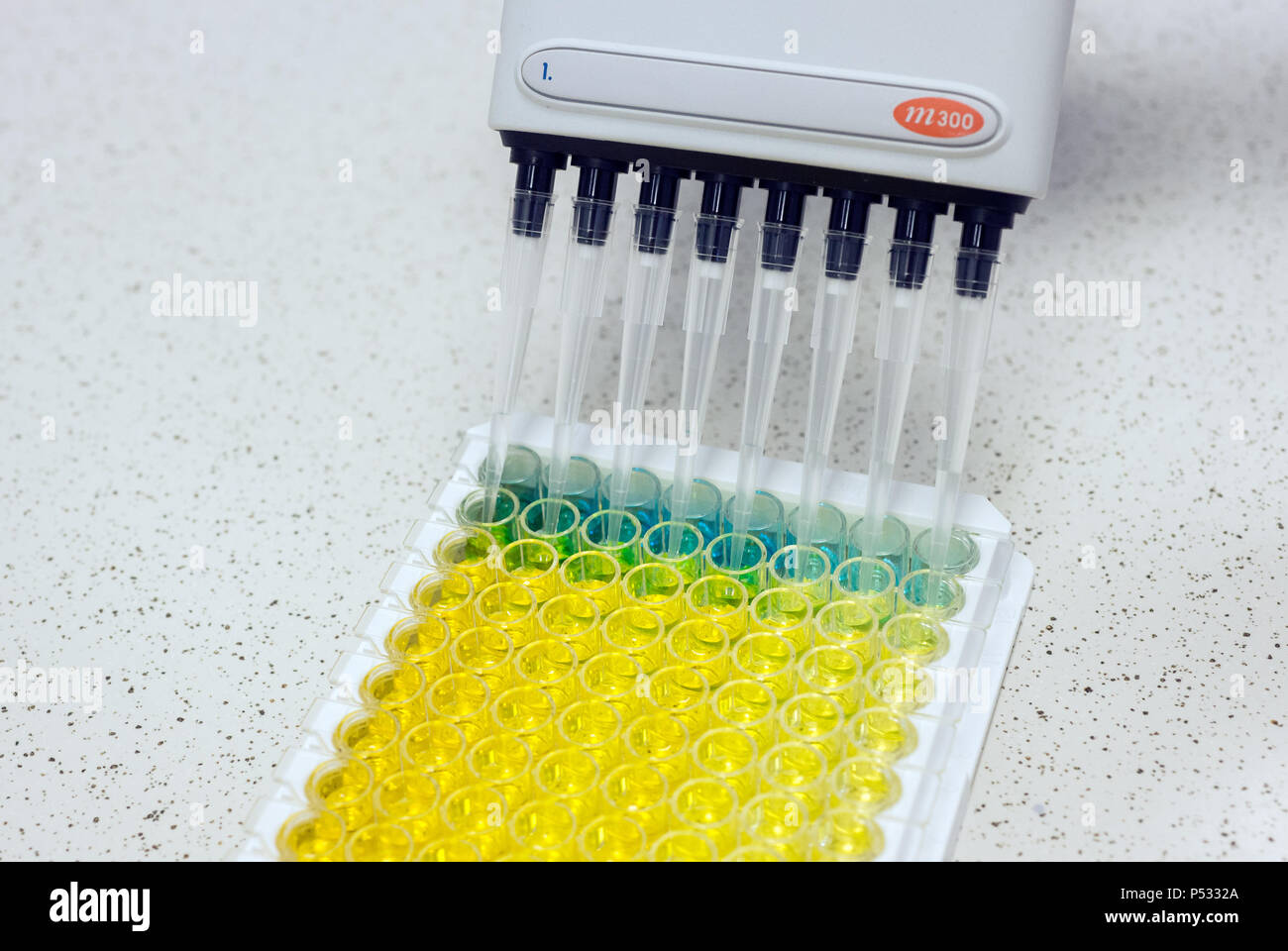 Laboratory work Preparation of samples in a 96well PCR plate within