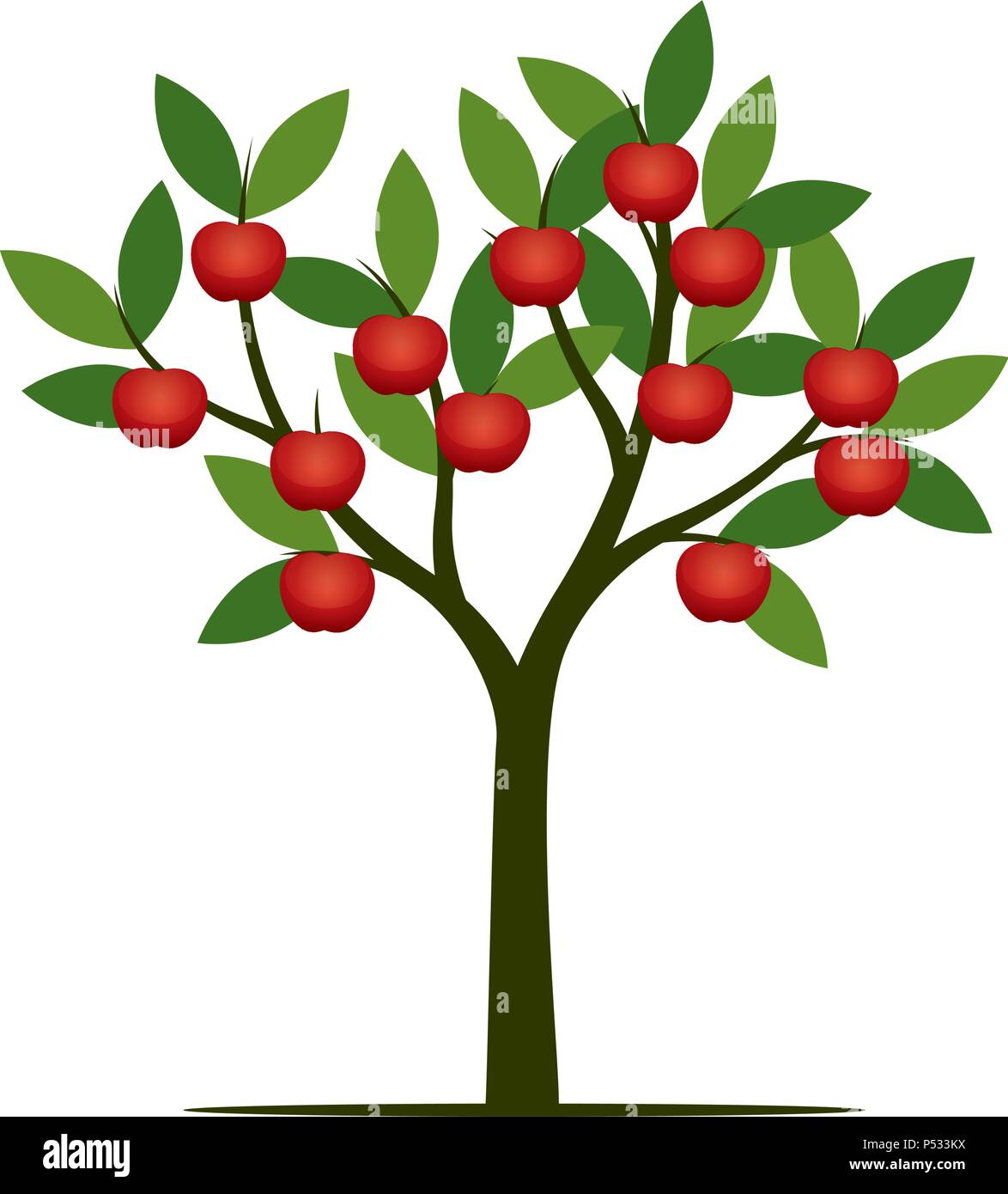 Green fruits drawing Stock Vector Images Alamy