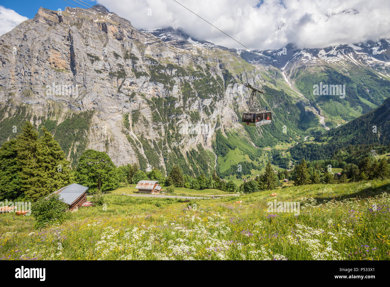 Cable car in Lauterbrunnen Switzerland Stock Photo Alamy