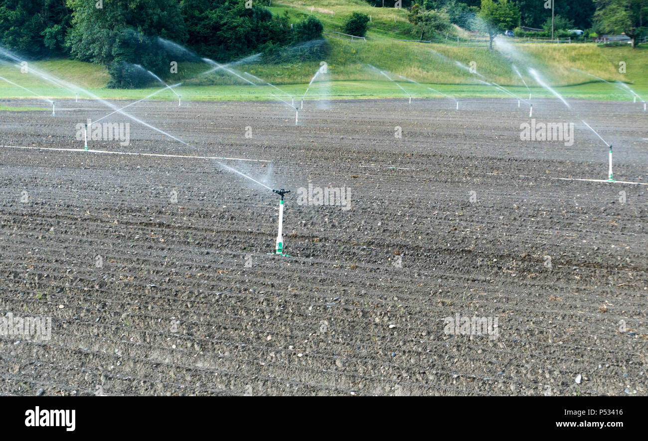 Irrigation Sprinkler Crop Food High Resolution Stock Photography and