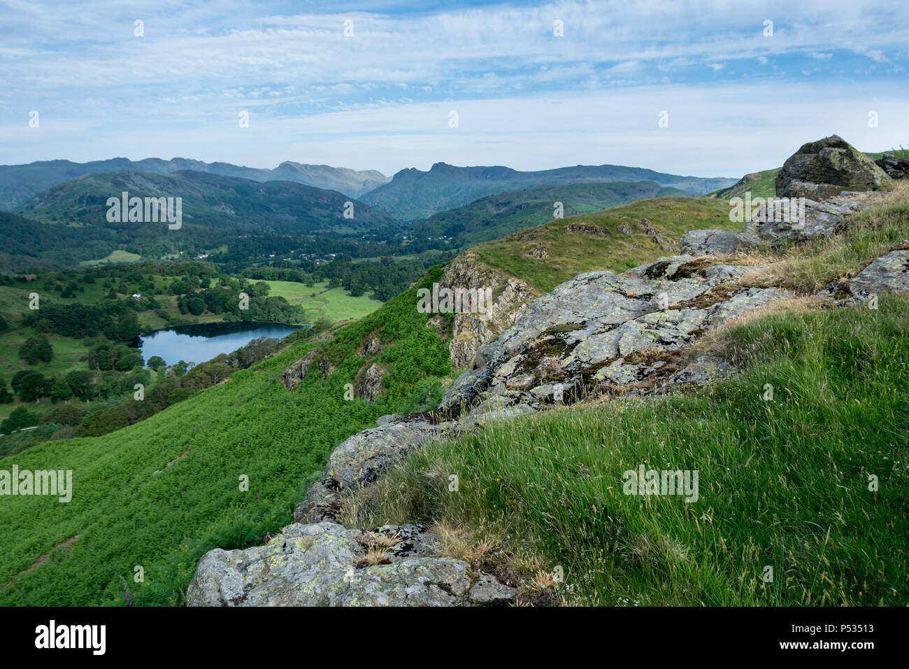 Ivy crag hi-res stock photography and images - Alamy