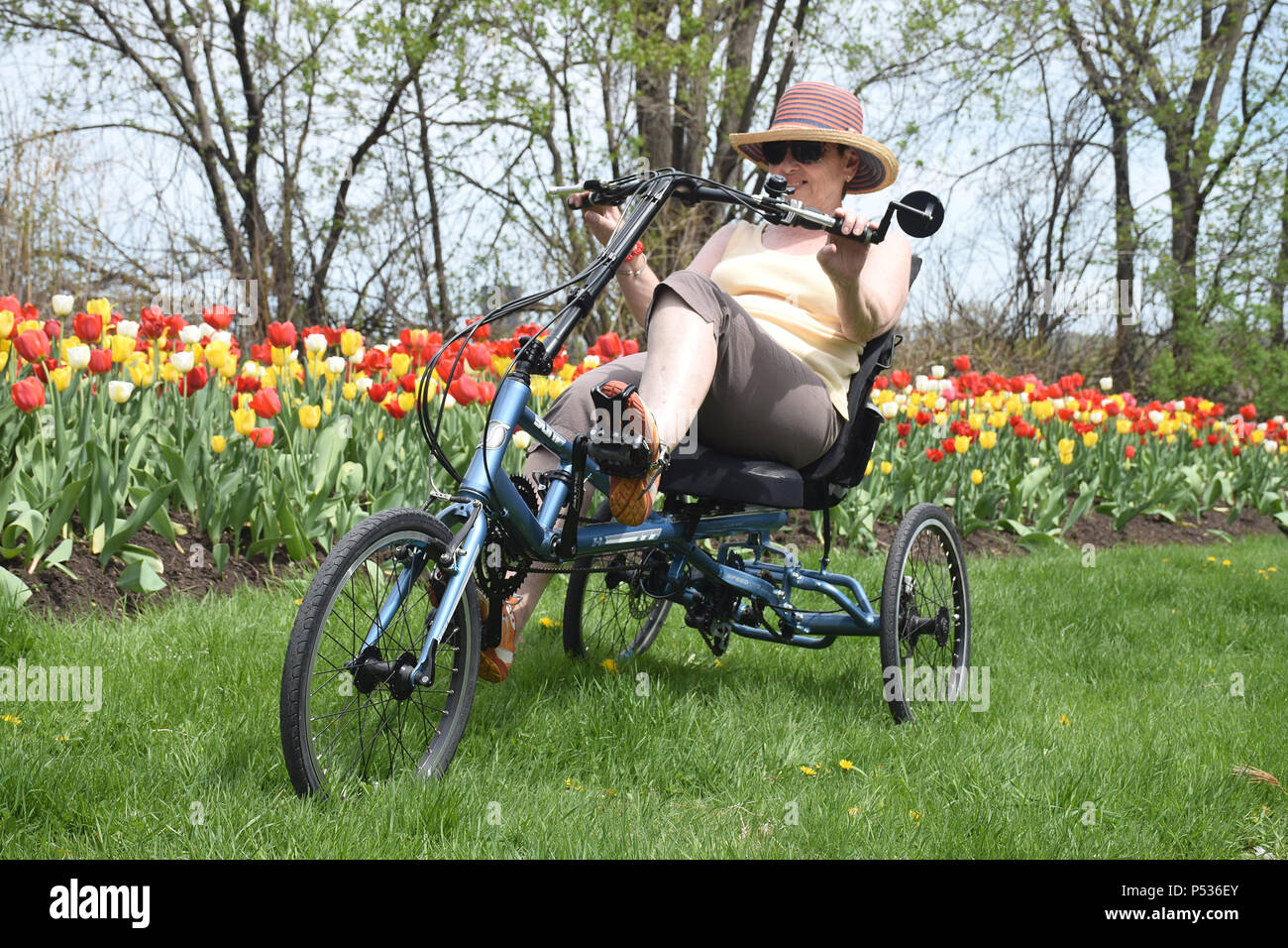 Adult tricycle hires stock photography and images Alamy