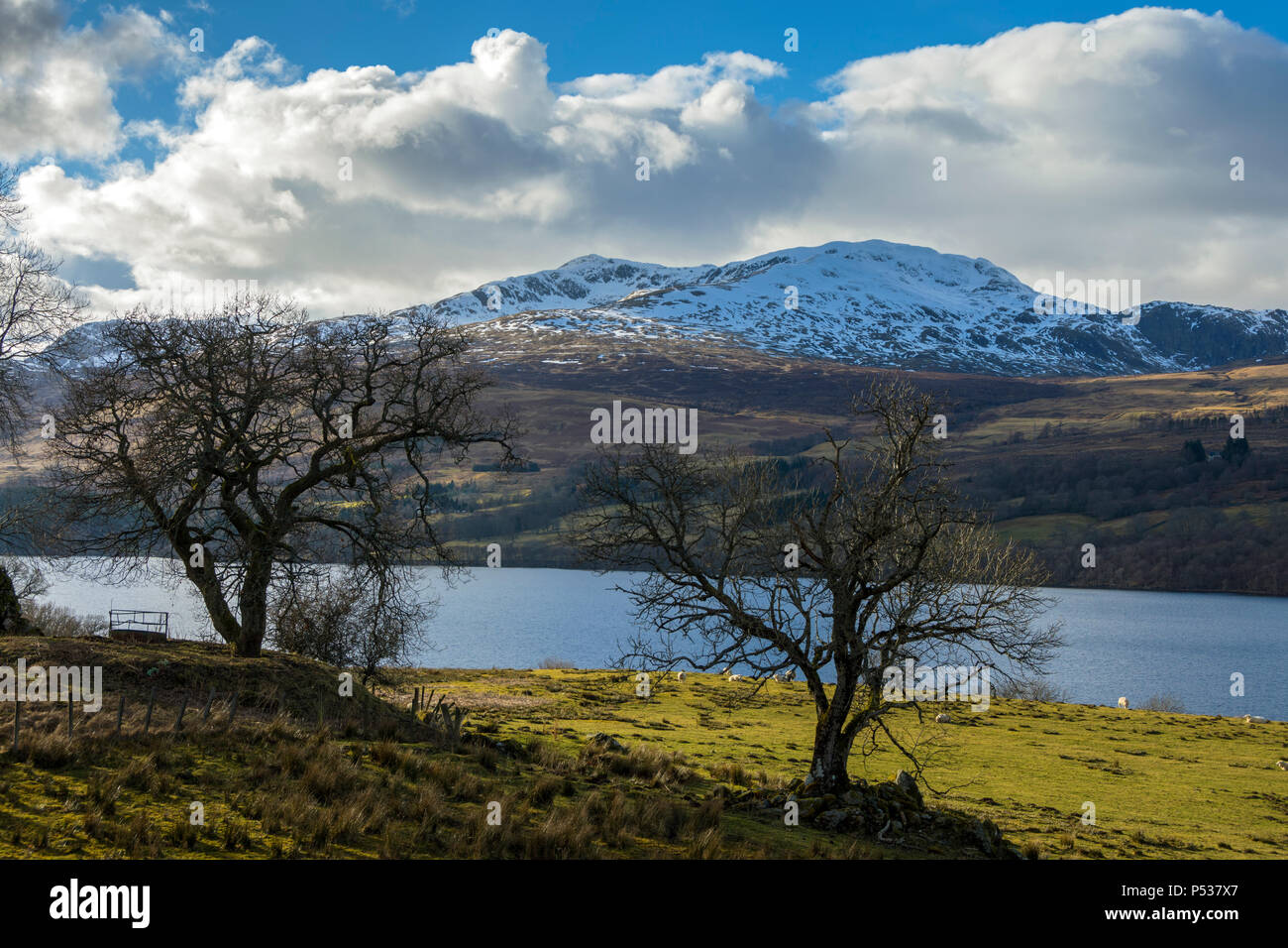 Tarmachans hi-res stock photography and images - Alamy