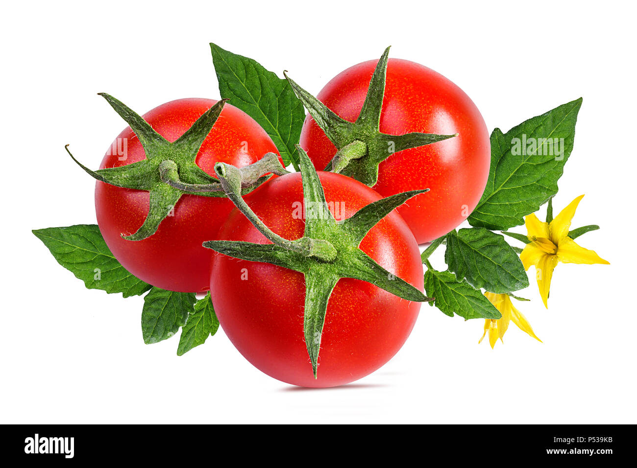 tomato isolated on white background Stock Photo - Alamy