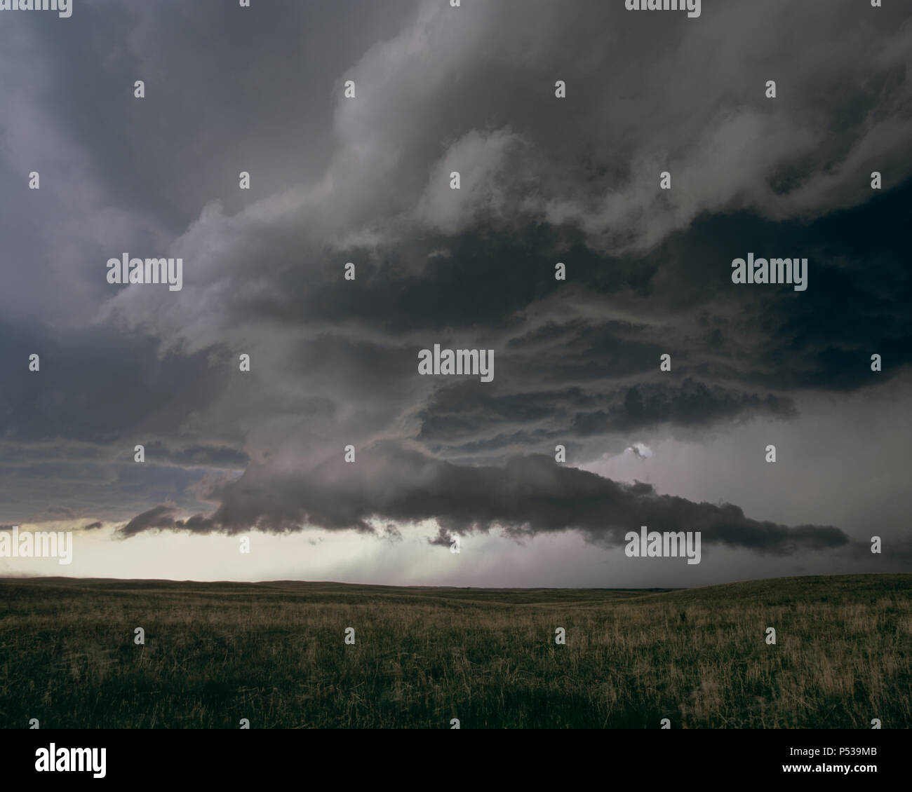 A wall cloud forms under a rotating supercell thunderstorm, over farmland in Nebraska, USA Stock Photo