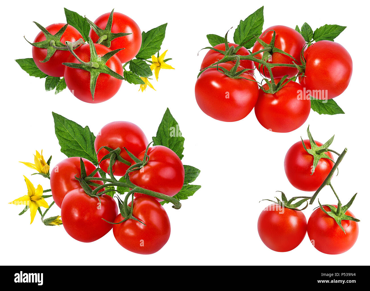 tomato isolated on white background Stock Photo - Alamy