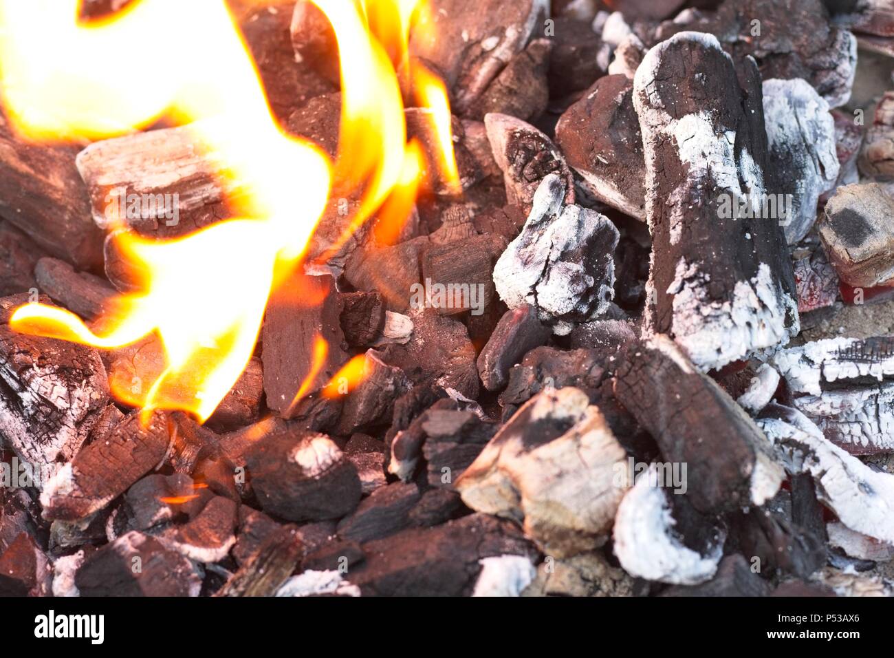 White hot lit embers of lump wood charcoal on a bbq. Stock Photo