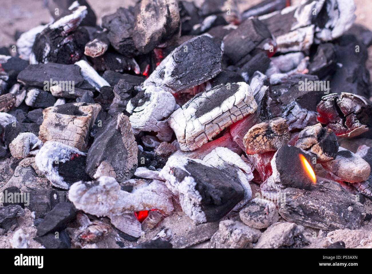 White hot lit embers of lump wood charcoal on a bbq. Stock Photo