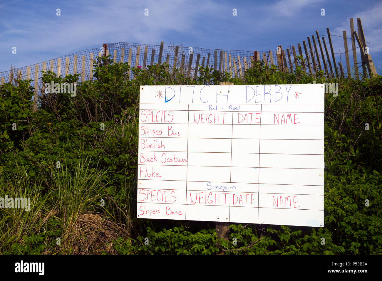 hand drawn fishing contest sign on dunes in Montauk Stock Photo
