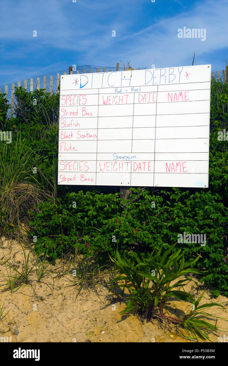 hand drawn fishing contest sign on dunes in Montauk, New York, Ditch Plains Beach Stock Photo