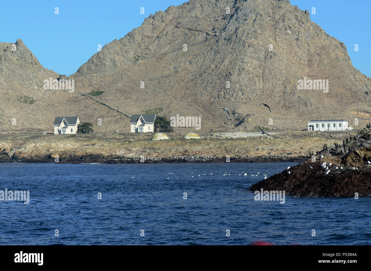 Houses and building on the Southeast Farallon Island, where scientific researchers live on the island. Edge of small island with shore and seabirds Stock Photo