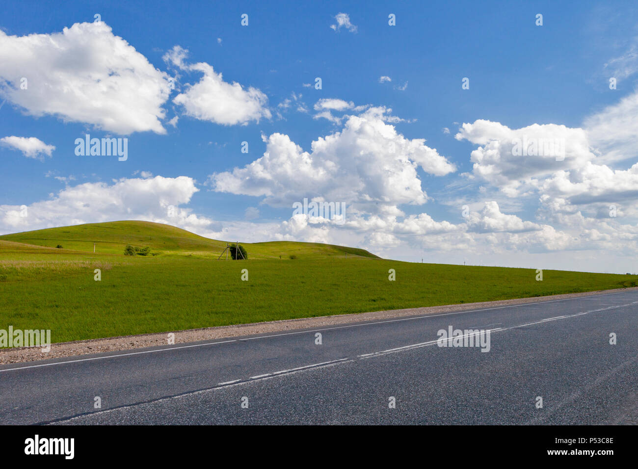Road in the field, long distance trail in the field. Beautiful green ...