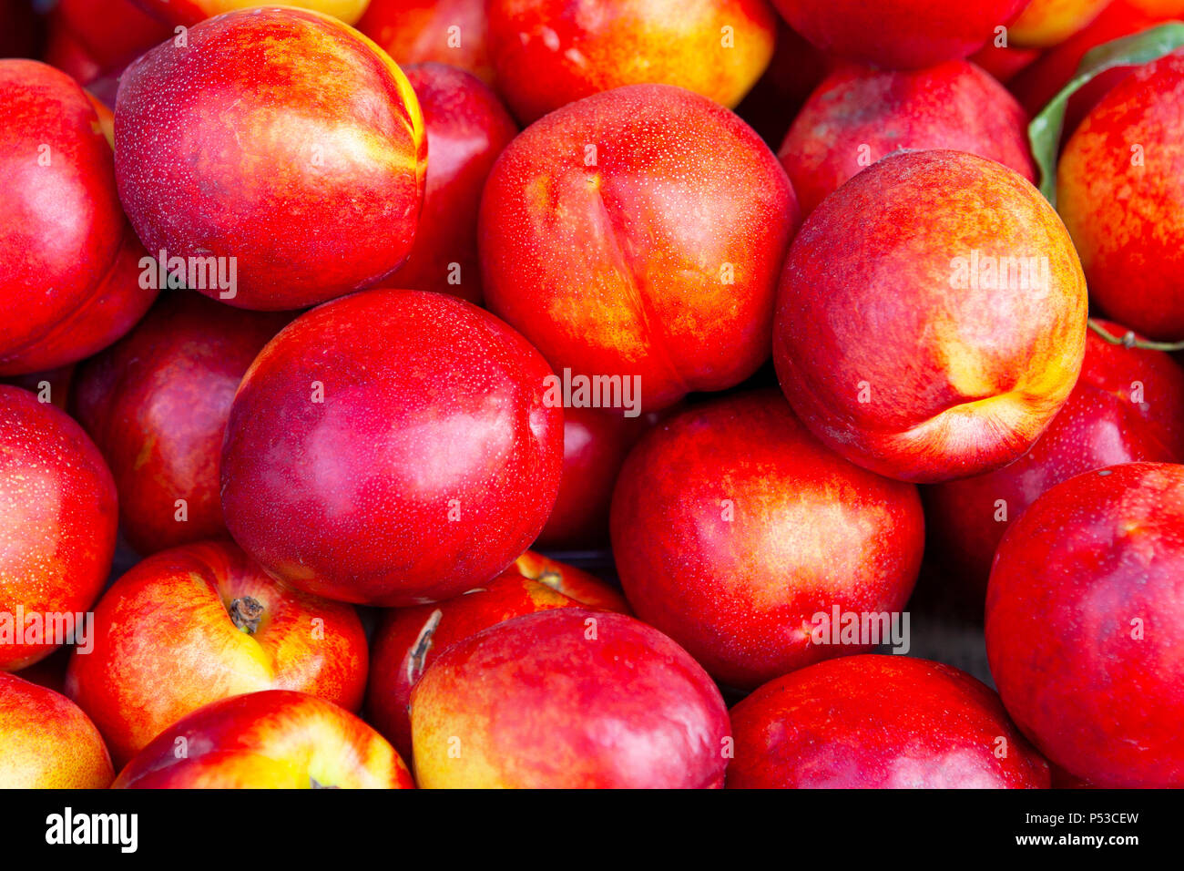 Bright nectarines in the market. Stock Photo