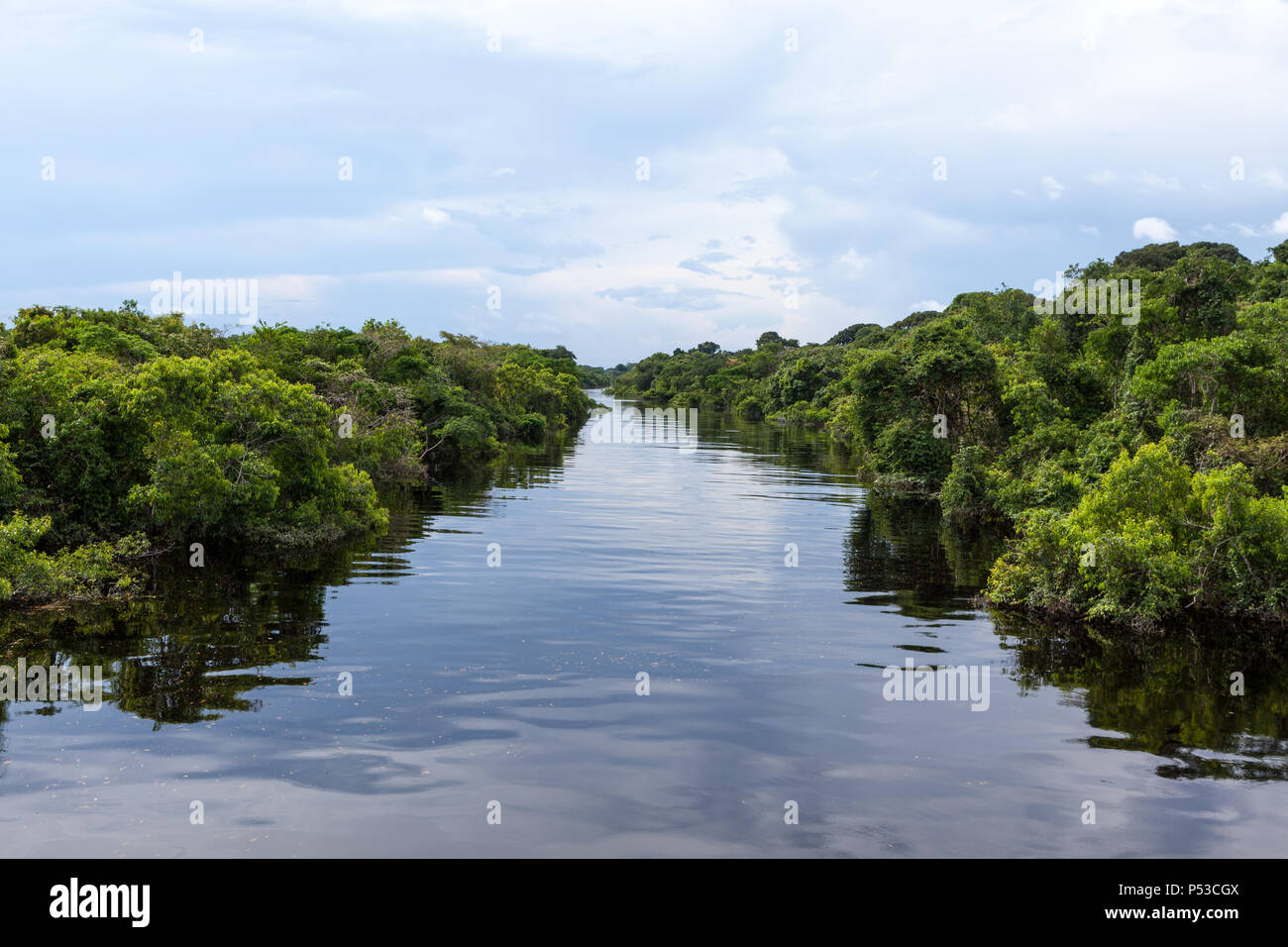 Amazonas, Brazil. Affluent river in the Negro River and Amazon rainforest. Stock Photo
