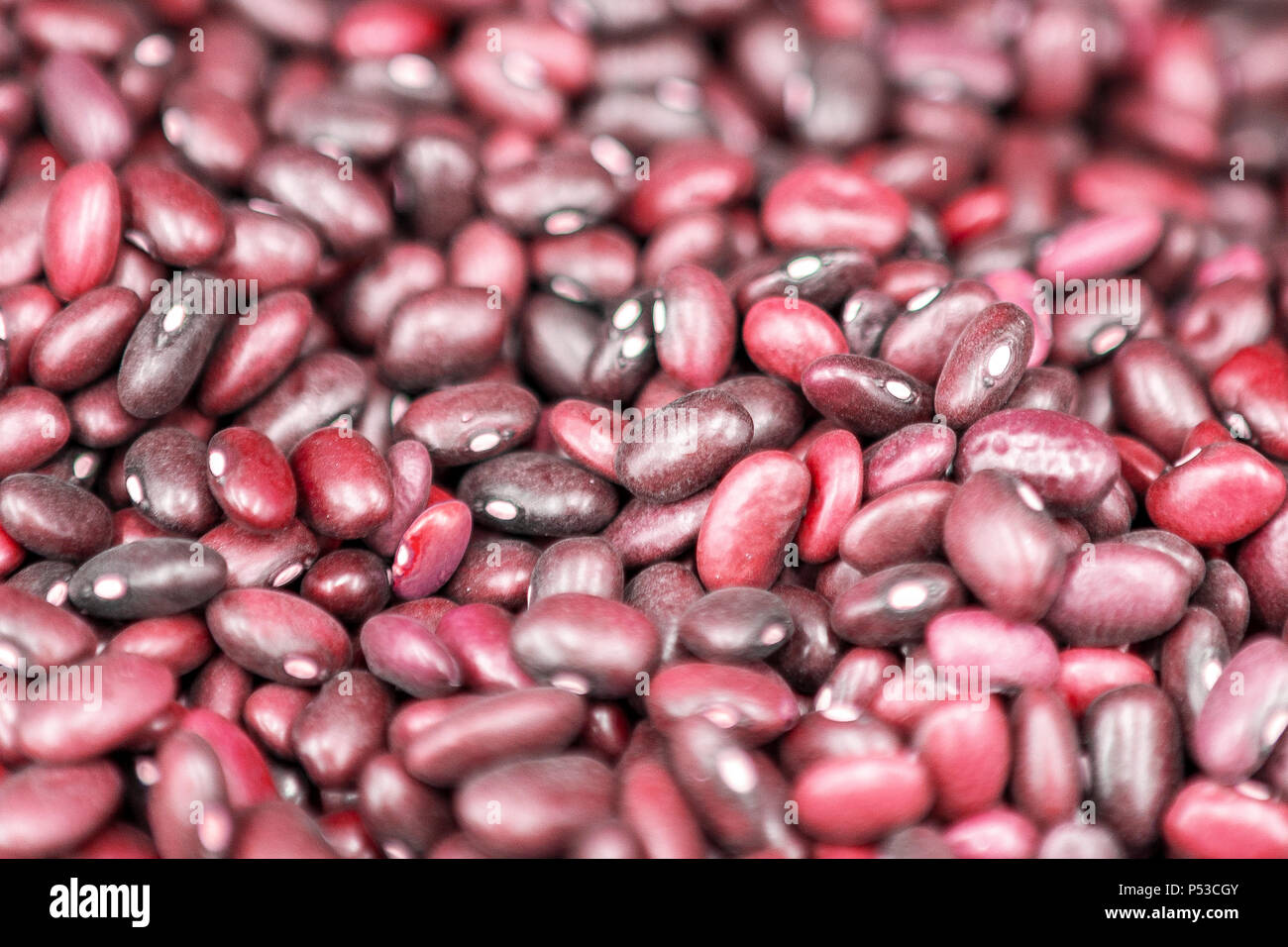 Red kidney bean field hires stock photography and images Alamy