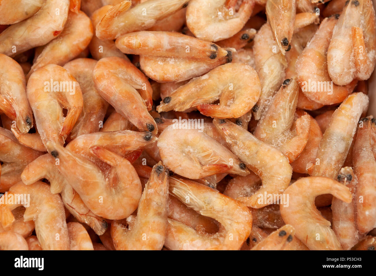 Frozen shrimps spread out evenly Stock Photo Alamy