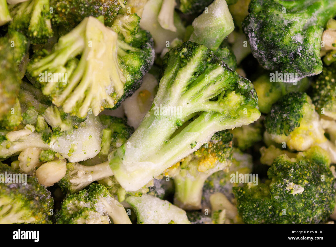 Frozen broccoli spread out evenly Stock Photo Alamy